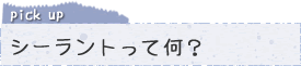 シーラントって何?